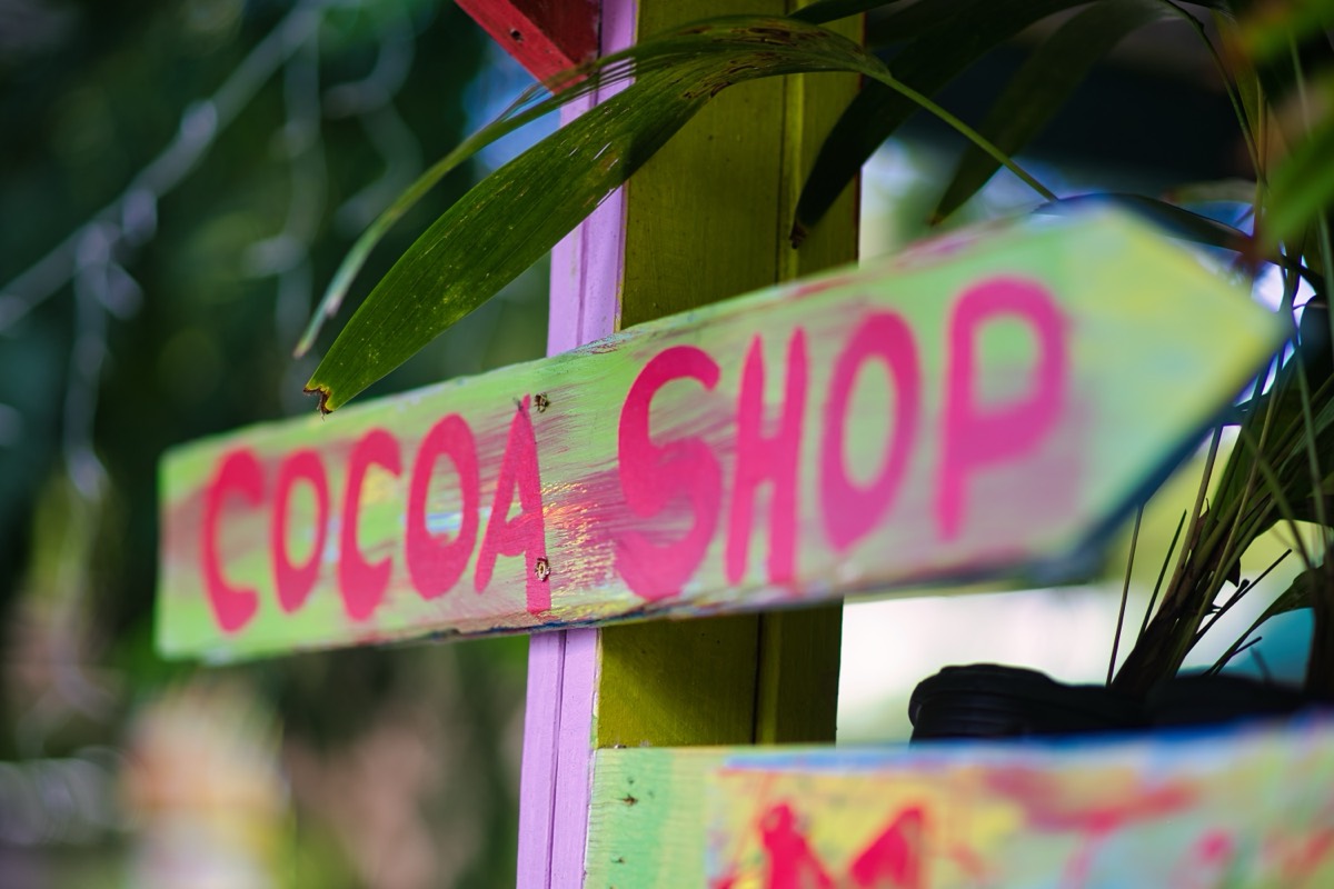 A hand-painted Cocoa Shop sign among palm leaves.